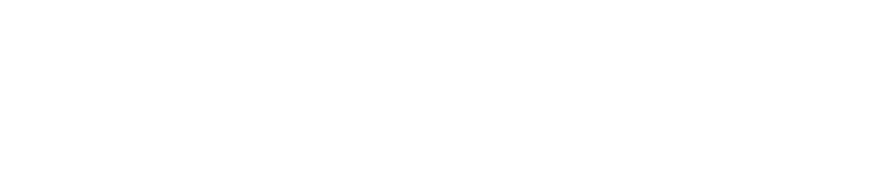 partnerIcon