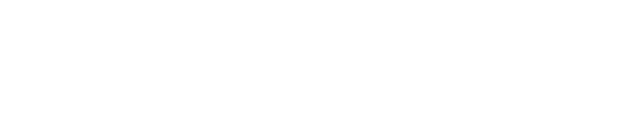partnerIcon