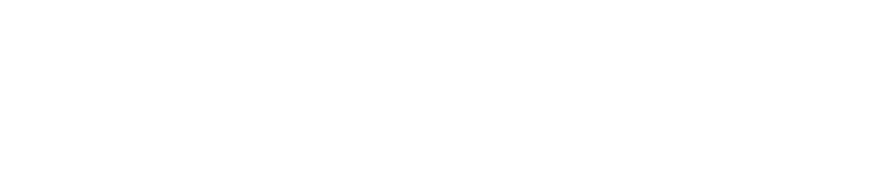 partnerIcon