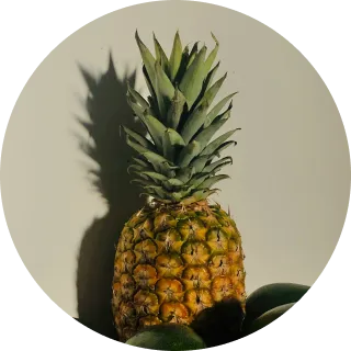 partnerIcon