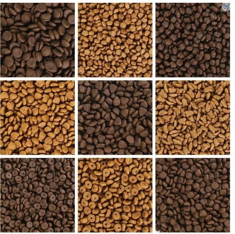 High-Protein Pet Dry Food for Cats – Organic High-Protein Dry Seafood Cat Food