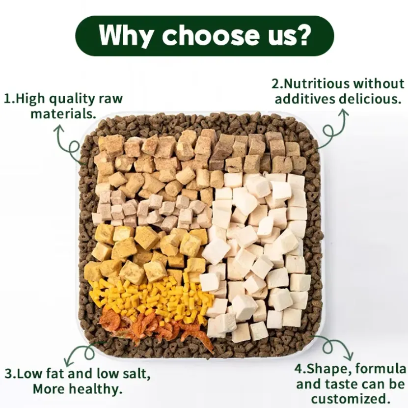 OEM/ODM Manufacturer Factory Customized Wholesale Pet Food Dry Cat Food