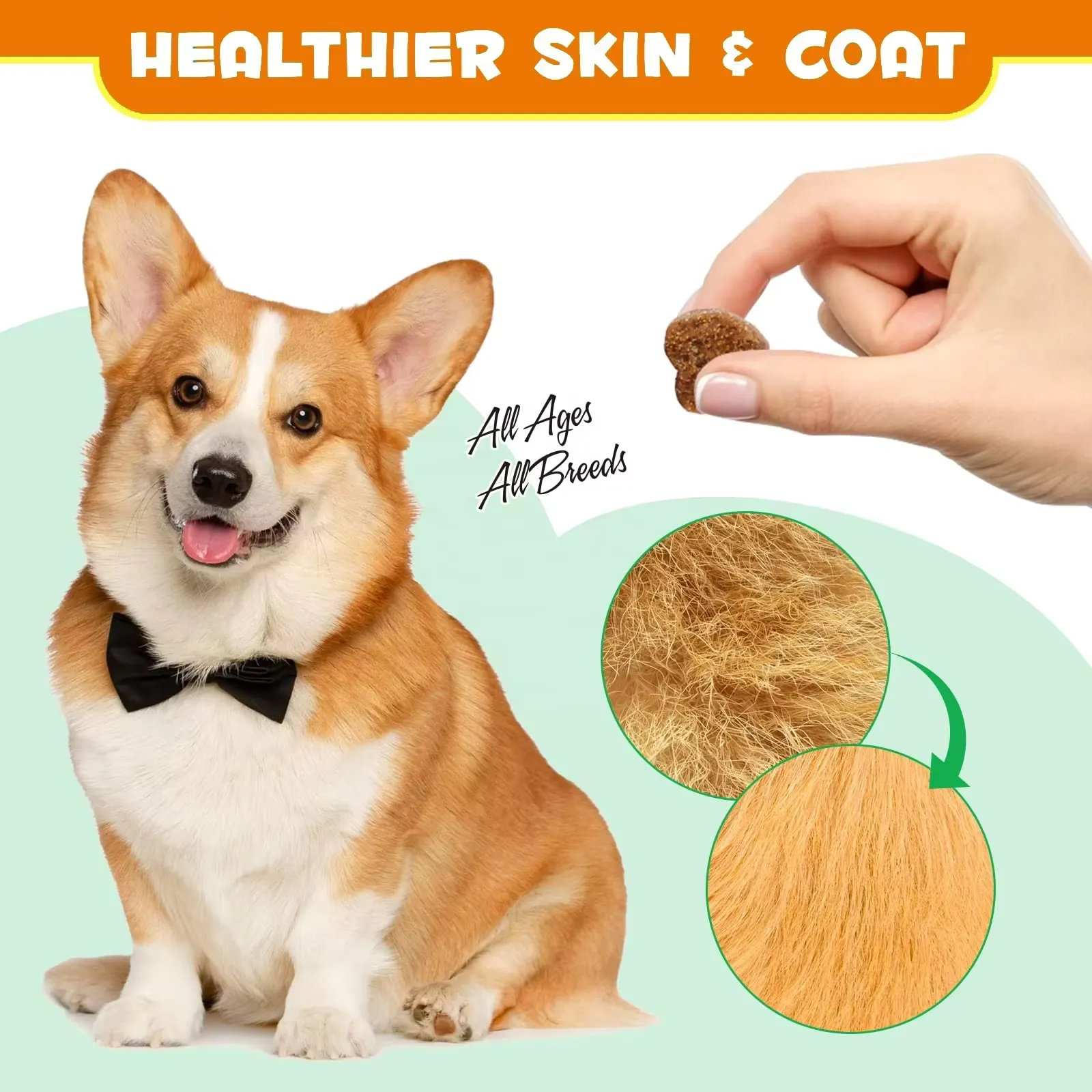 Natural Probiotic Soft Chews Dog Treats Snacks Suppliers for Pet Gut Health Pet Food
