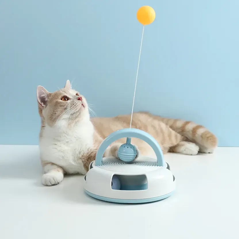 Cat Toy Ball Track with Table Tennis Ball and Catnip