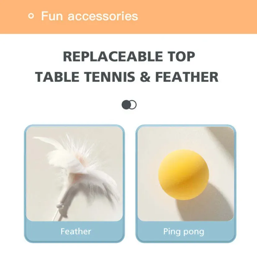 Cat Toy Ball Track with Table Tennis Ball and Catnip