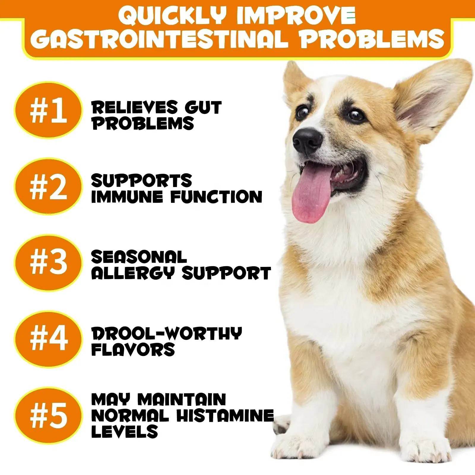 Natural Probiotic Soft Chews Dog Treats Snacks Suppliers for Pet Gut Health Pet Food