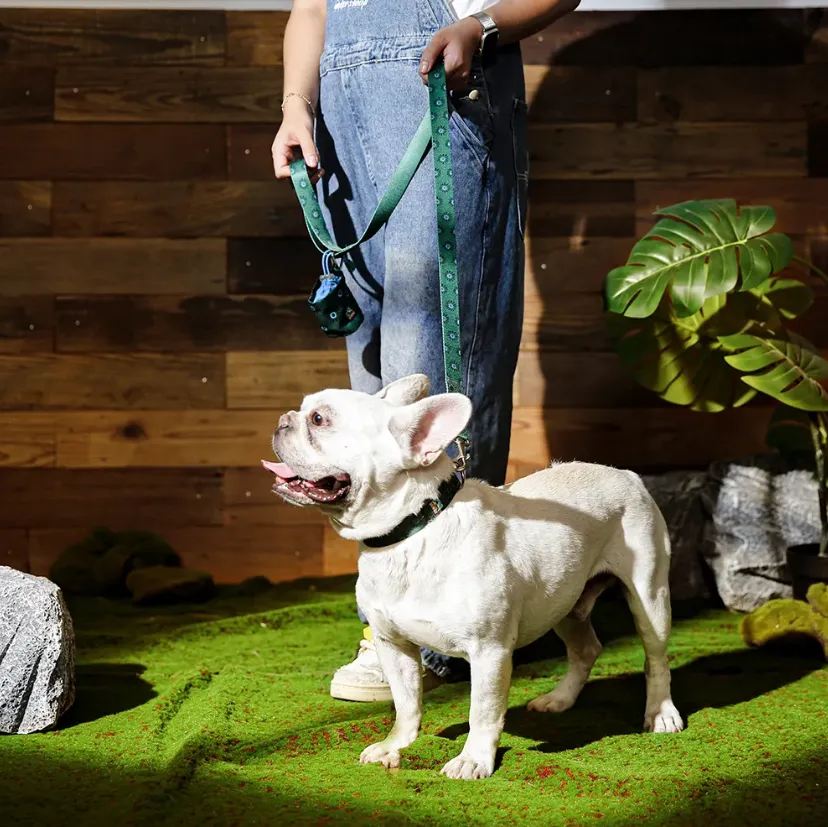 Soft Dog Collar Chain PVC Pet Collar