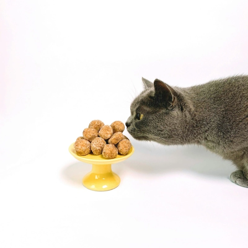 Grain-Free Pet Dry Food: Benefits, Risks & What You Should Know