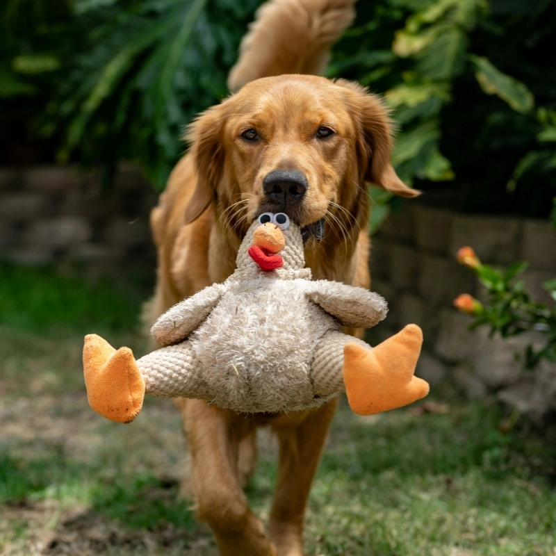 Puzzle & Enrichment Pet Toys for Bored Pets: Boosting Mental Health and Preventing Destructive Behavior