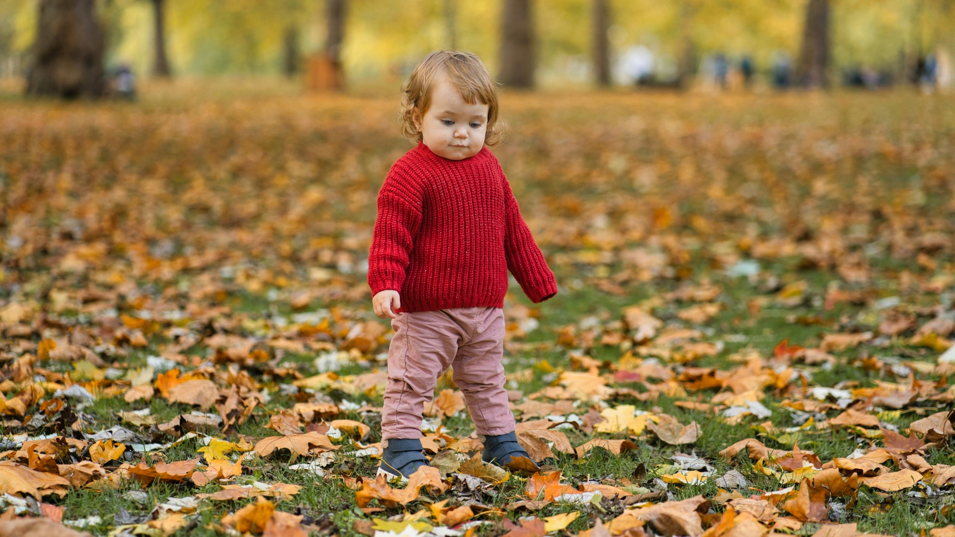 knitwear customized.jpg