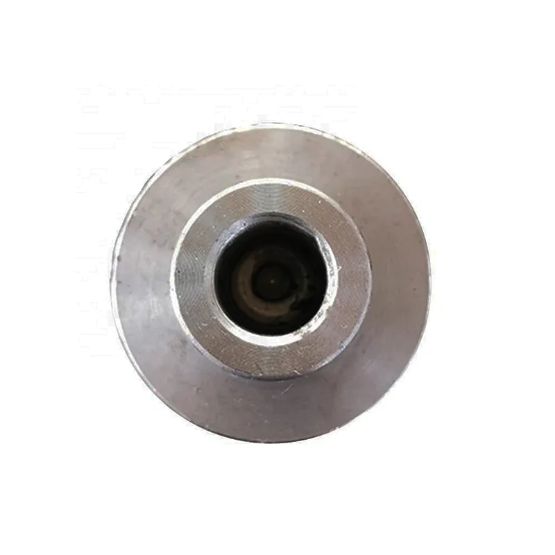 Hydraulic Cylinder Replacement Piston Spare Part Sold Separately 图片2