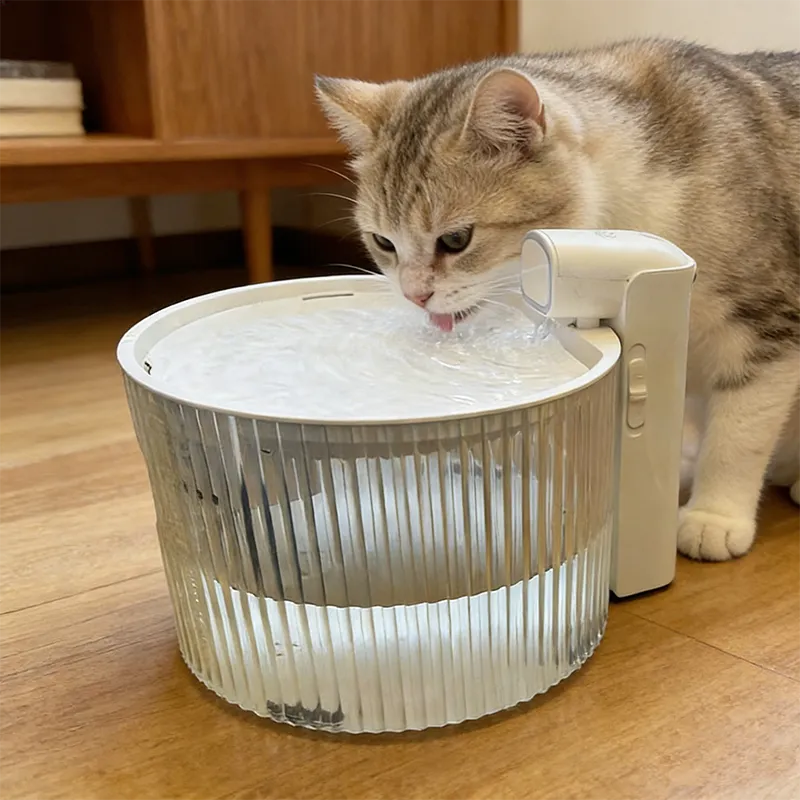 Win-Win for the Smart Pet Care Era: Winpoint’s Litter Box & Feeder ODM Solutions Seek Global Partners