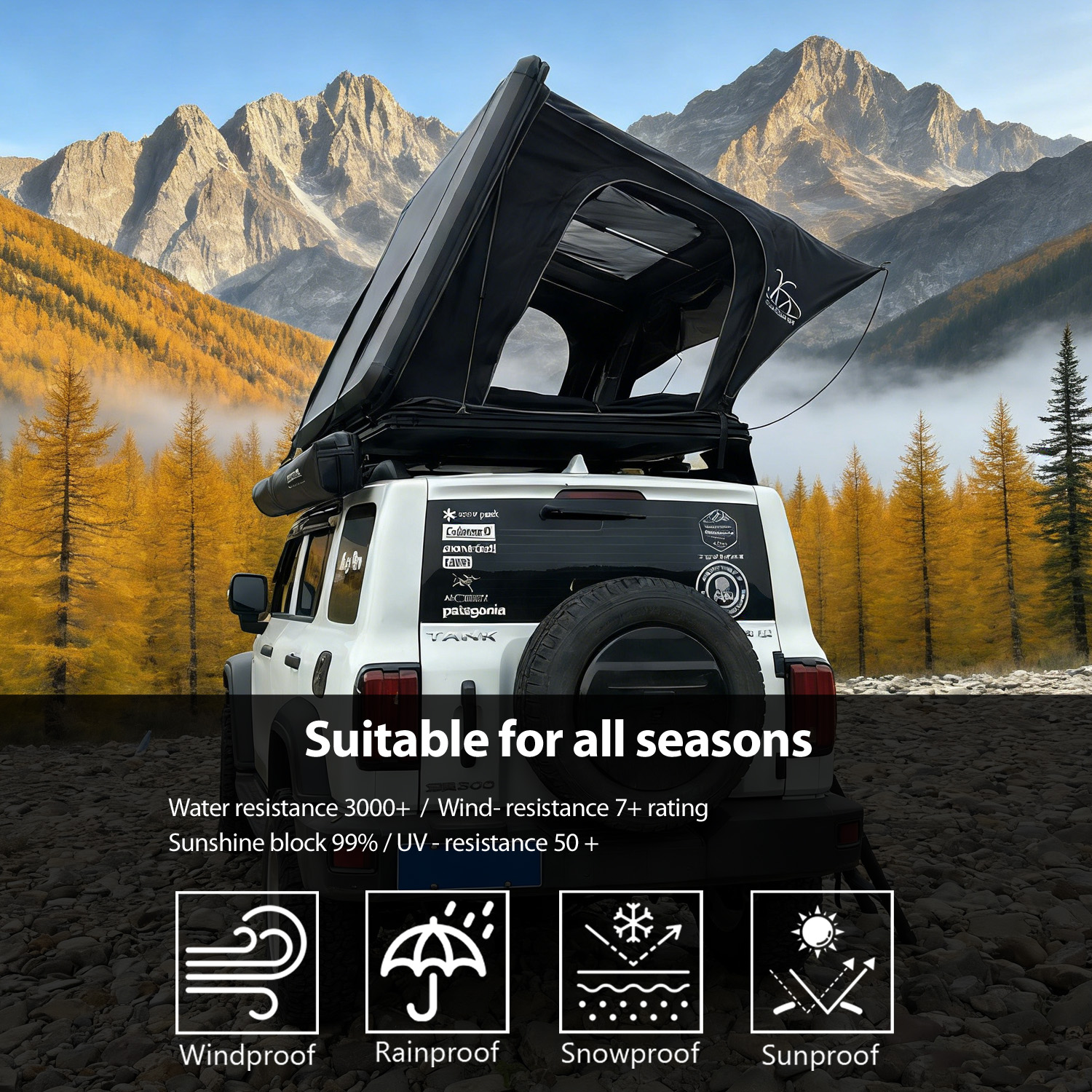 SUITABLE FOR ALL SEASONS.jpg