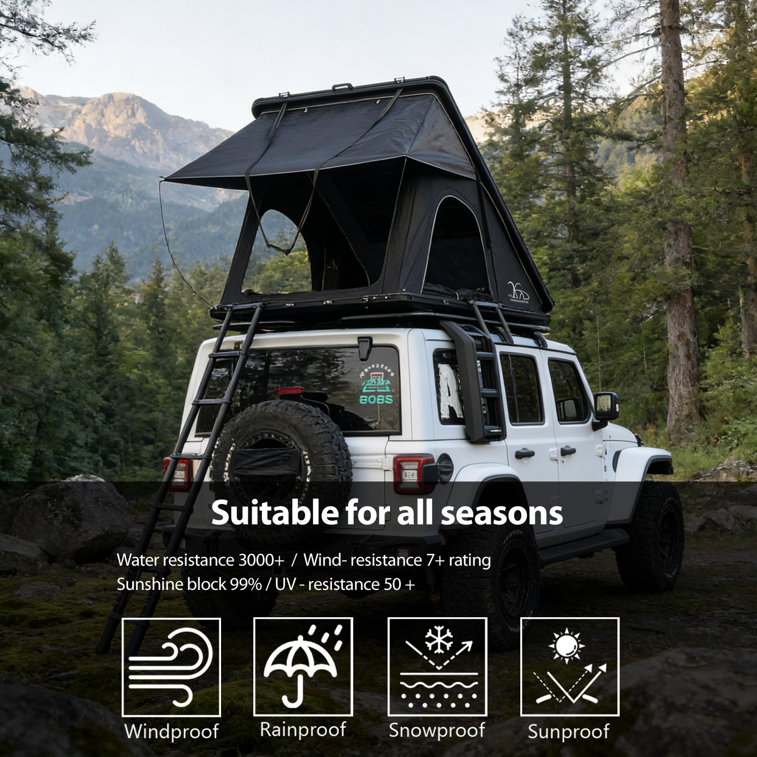 SUITABLE FOR ALL SEASONS.jpg