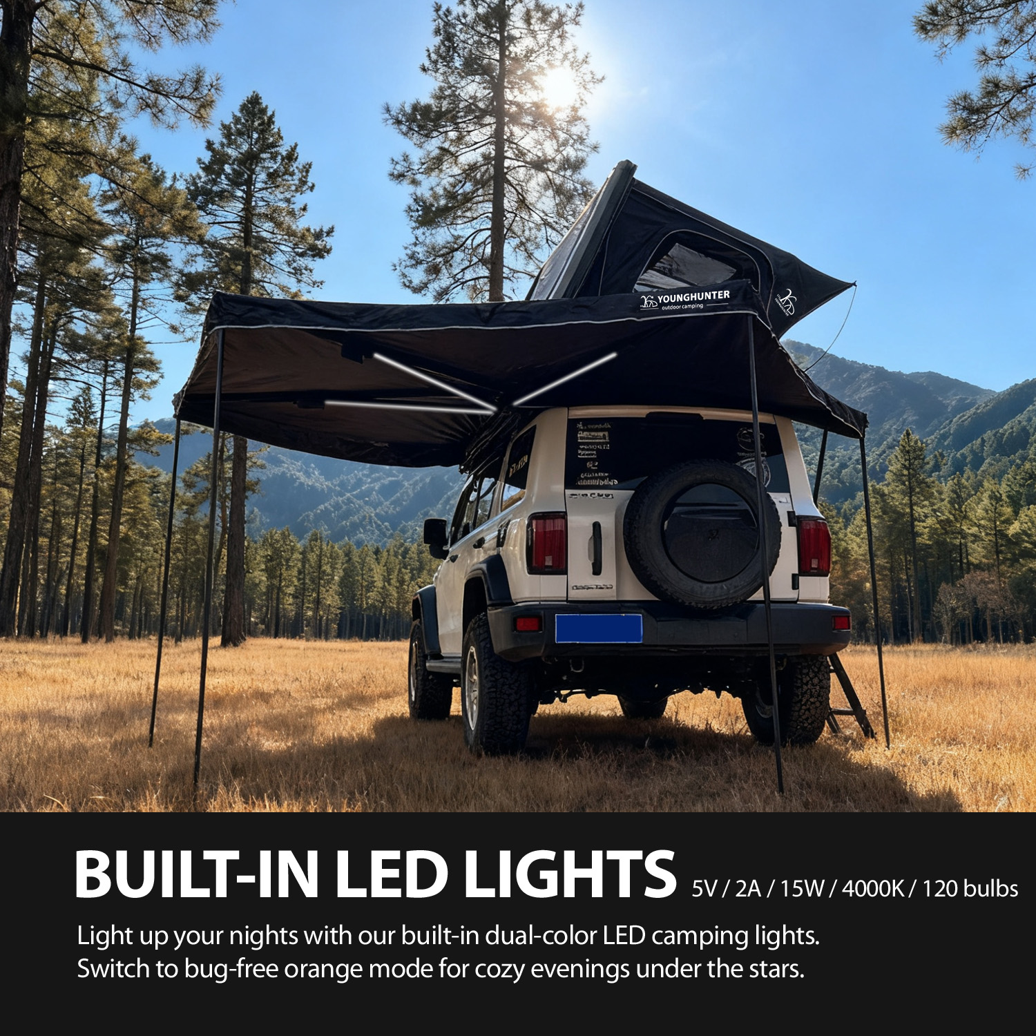 BUILT-IN LED LIGHTS-1.jpg