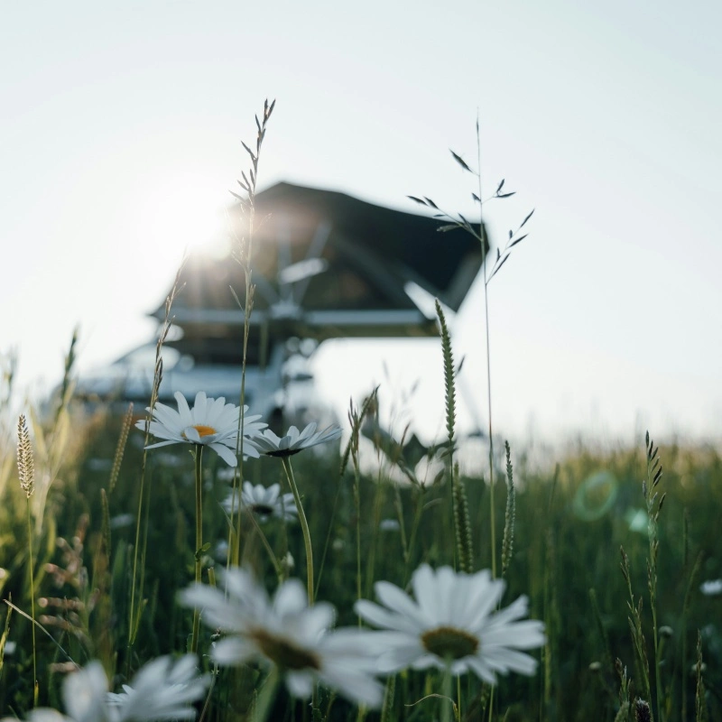 How Hard Shell Roof Top Tent Revolutionizing the Outdoor Gear Industry