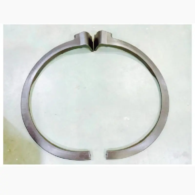 Ala dianteira – superfície lisa.