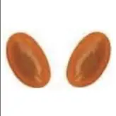 Luz lateral de marcador