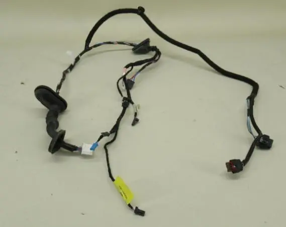 Fio de iluminação traseiro direito (principal)