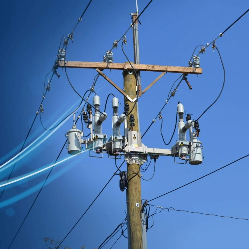 Electric Equipment & Hardware Procurement for a Regional Power Utility