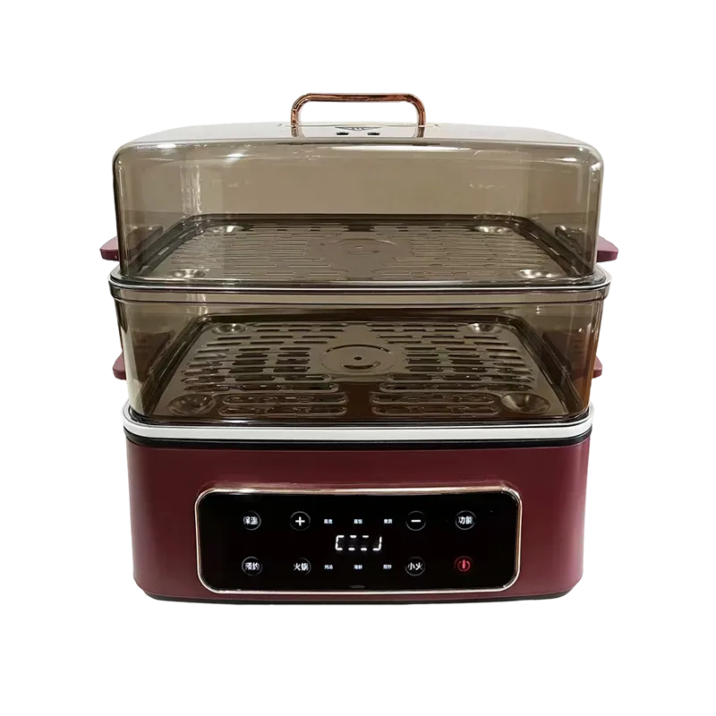 Cucina elettrica multifunzione a 2 livelli e vaporizzatore con timer programmabile