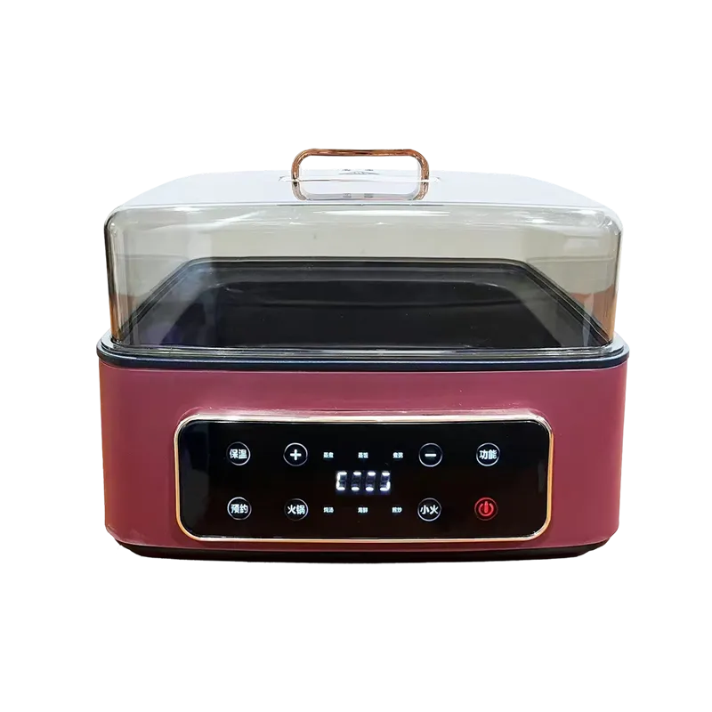 Cucina elettrica multifunzione a 2 livelli e vaporizzatore con timer programmabile