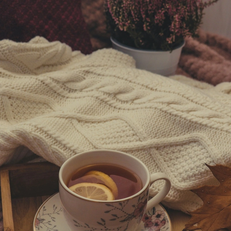 How to Build a Profitable Knitwear Collection for Men, Women, and Children