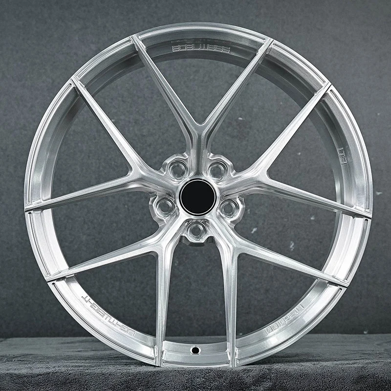 Custom Wheel Forged Wheel 17-inch 18-inch 19-inch 20-inch Painted 5x114.3 5x120 Passenger Car Alloy Wheel with Brushed Clear Coat