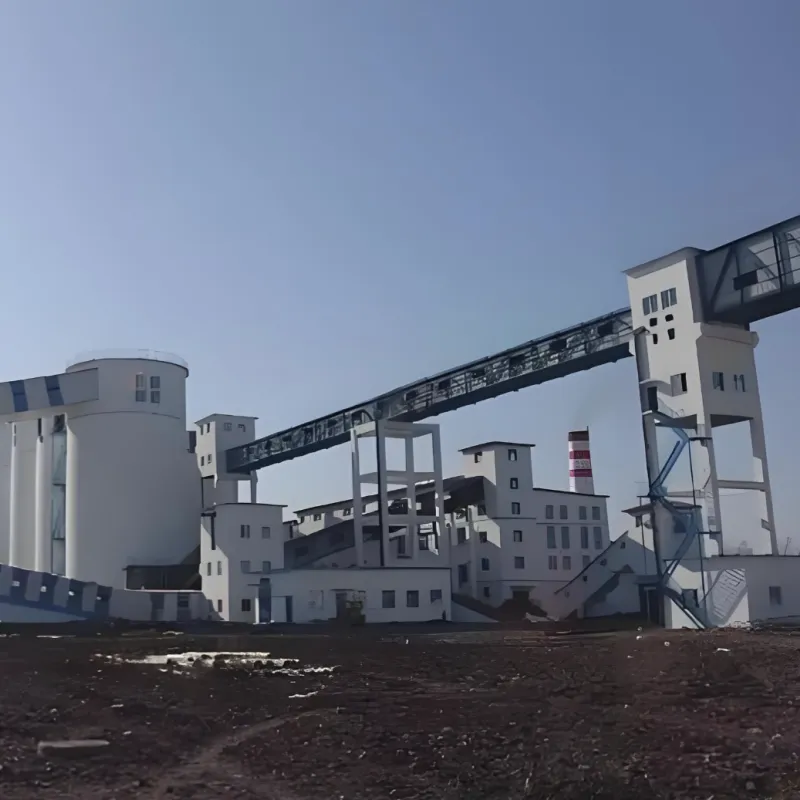 Idrolaio per Cinture Trasportatrici Pesanti: Fattori Chiave che i Compratori Devono Considerare