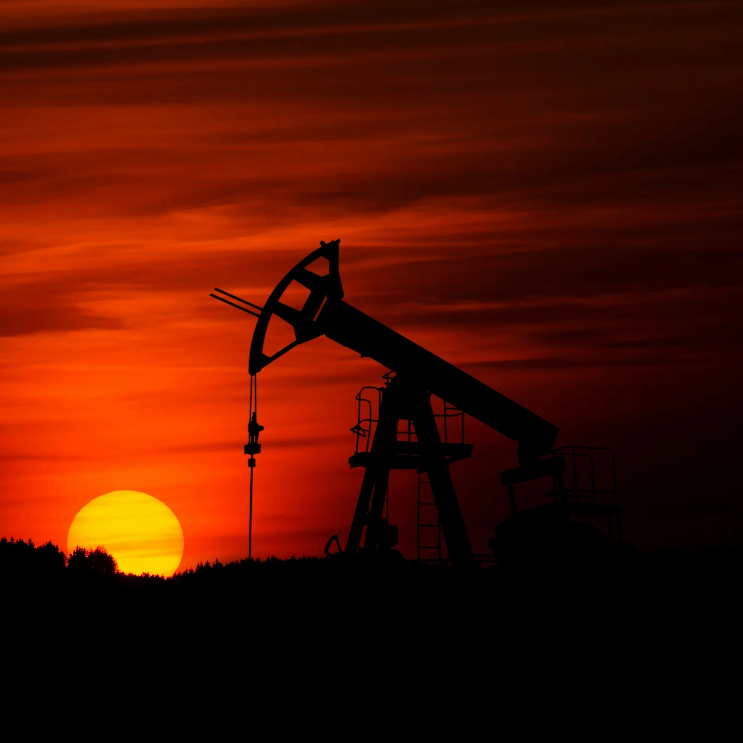 Rulli di supporto per convogliatori OEM: Una guida completa per l'approvvigionamento in blocco