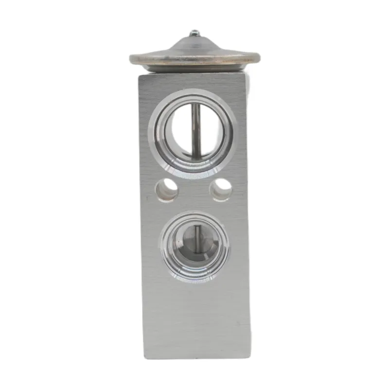 Auto Air Conditioning Parts: Car AC Expansion Valve