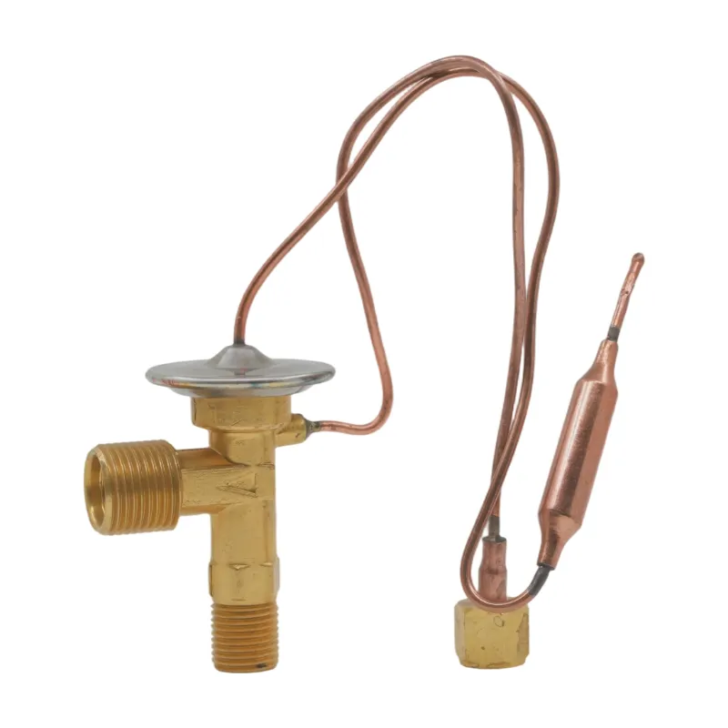Auto Air Conditioning Parts: Car AC Expansion Valve