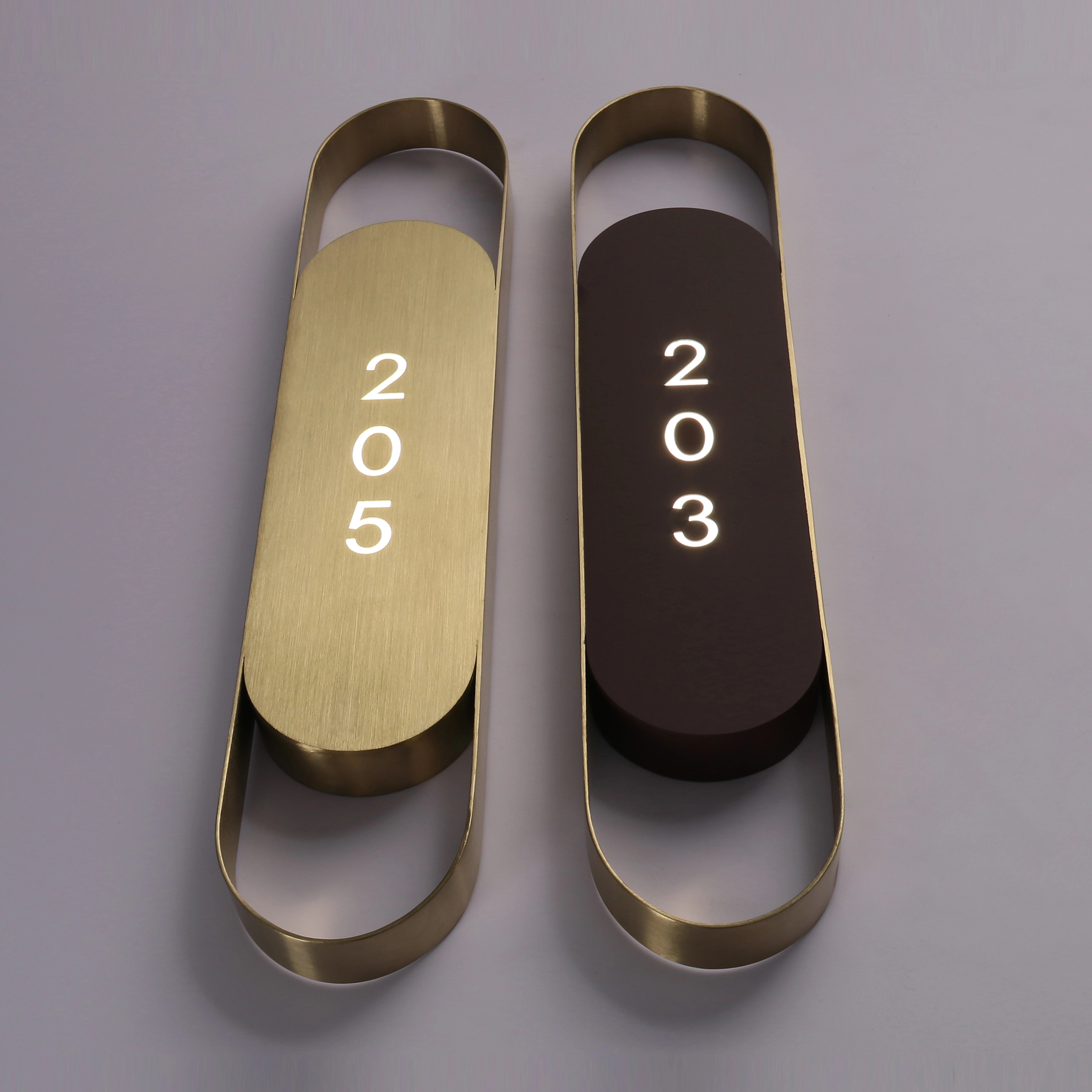 Custom Luxury Backlit Door Plaques | Modern Elliptical Metal Room Number Plates