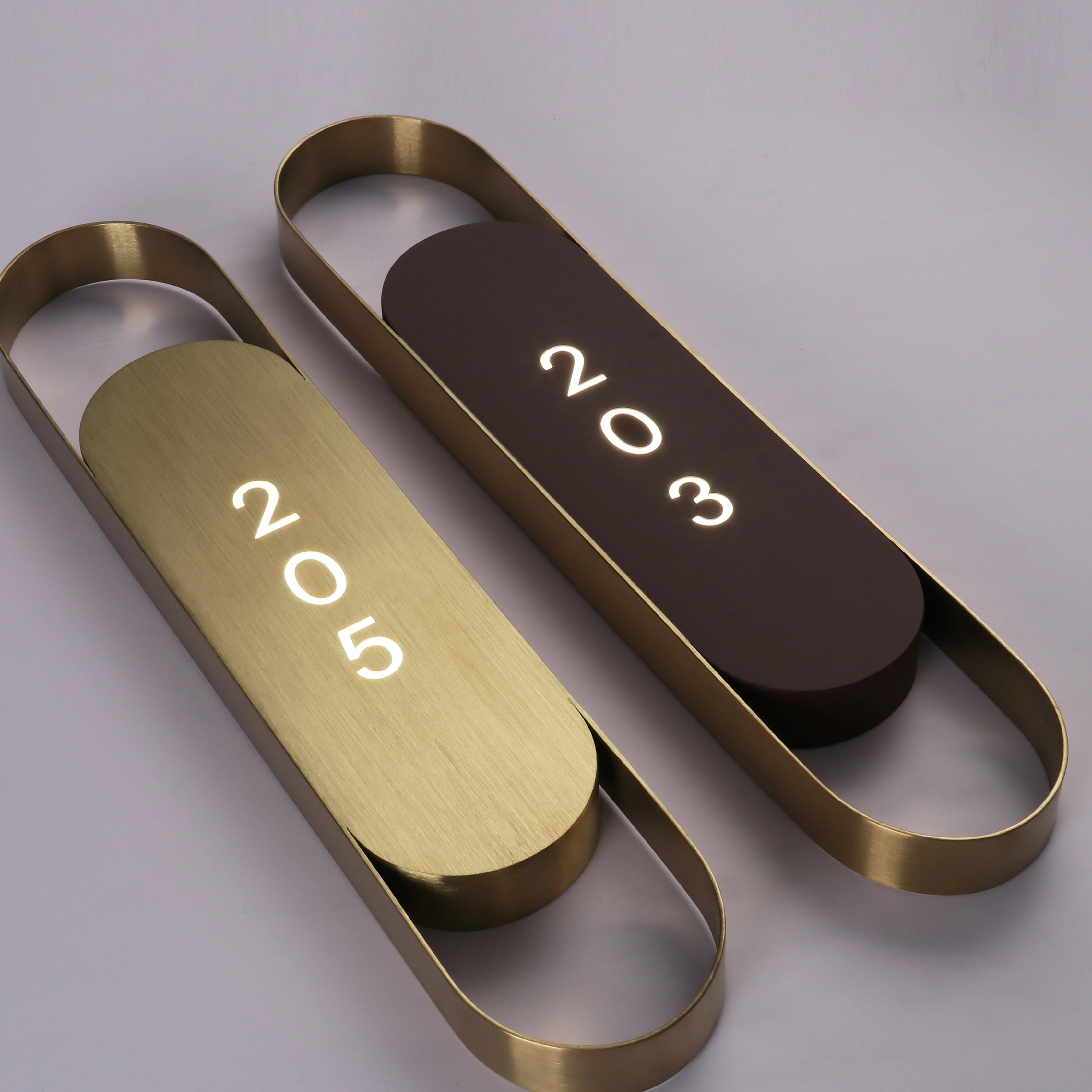 Custom Luxury Backlit Door Plaques | Modern Elliptical Metal Room Number Plates