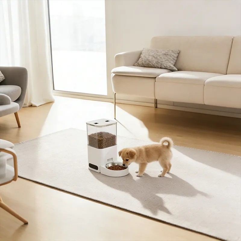 Toplu Siparişler İçin Güvenilir Bir Otomatik Köpek Yemleme Cihazı Tedarikçisi Nasıl Seçilir