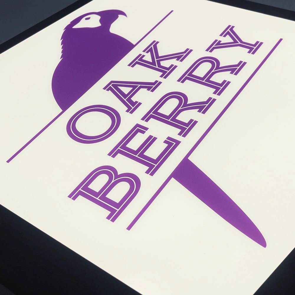 Premium Projecting LED Lightbox | Double-Sided Painted Metal Blade Sign