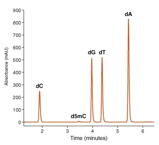 Controllo Preciso degli Aggregati di Peptidi: Analisi SEC-UV delle Impurità ad Alto Peso Molecolare nel Tirzepatide
