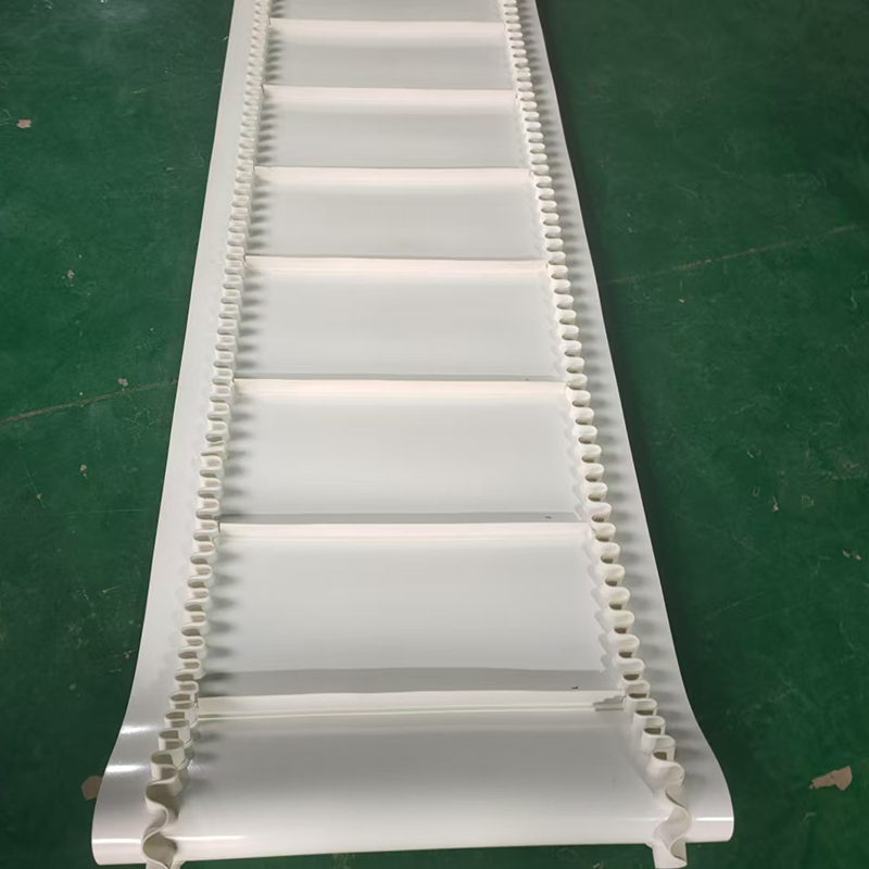 Conveyor Belt-6.png