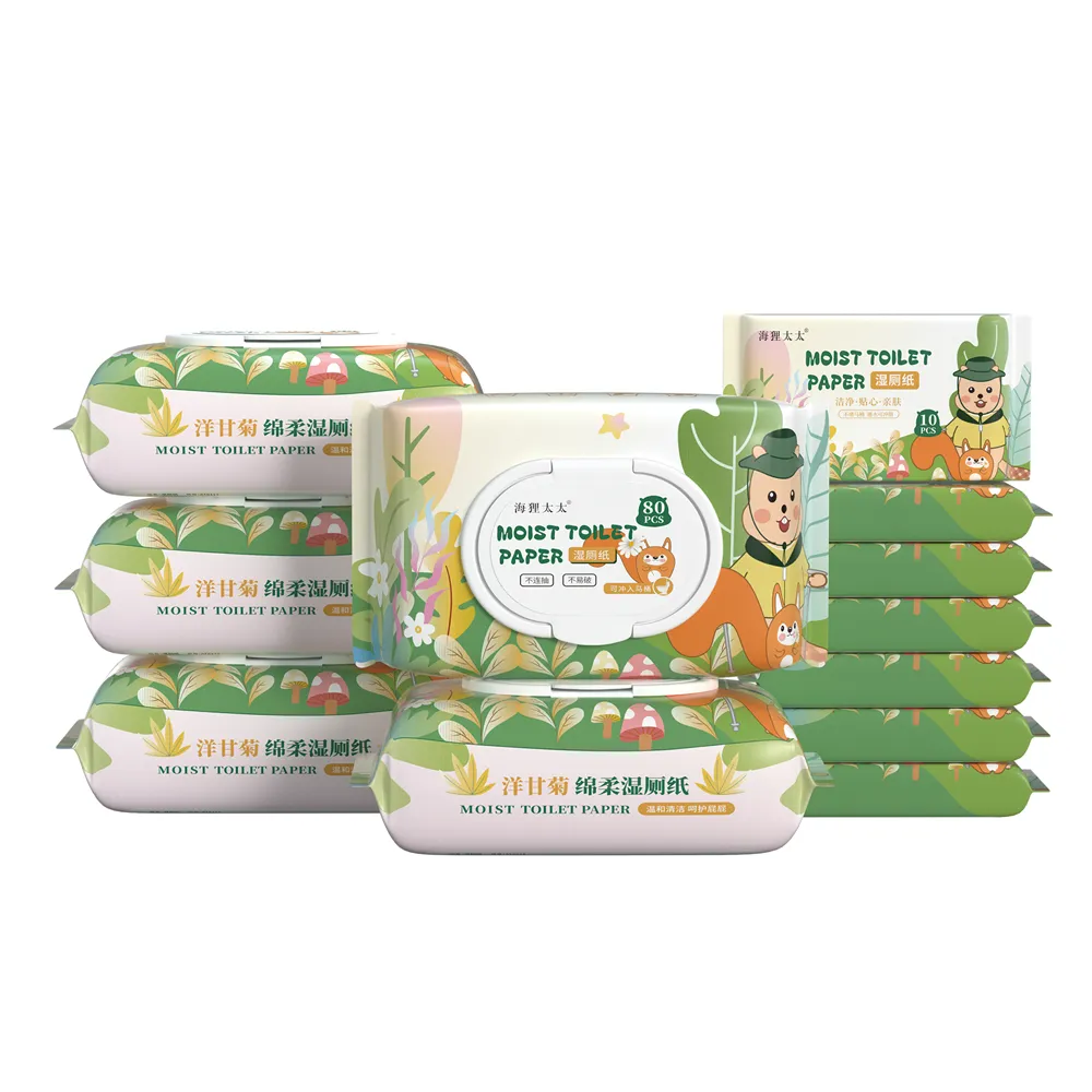 Flushable Moist Toilet Paper – 99.9% Antibacterial Wet Wipes