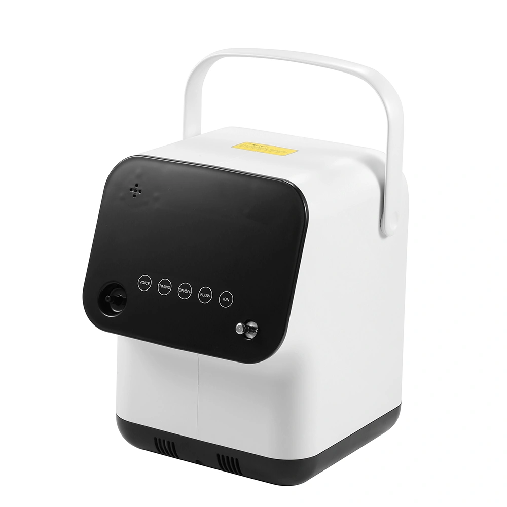 ZY-1SW Series Medical Home Use Oxygen Concentrator (1-7L/min Adjustable)