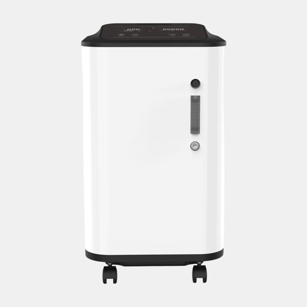 ZY-10ZW Series 10L High-Flow Oxygen Concentrator Dual Suction Mode
