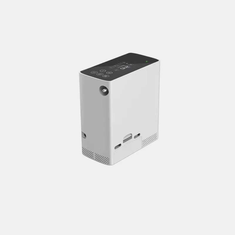 KP-6S 4L Medical Portable Oxygen Concentrator