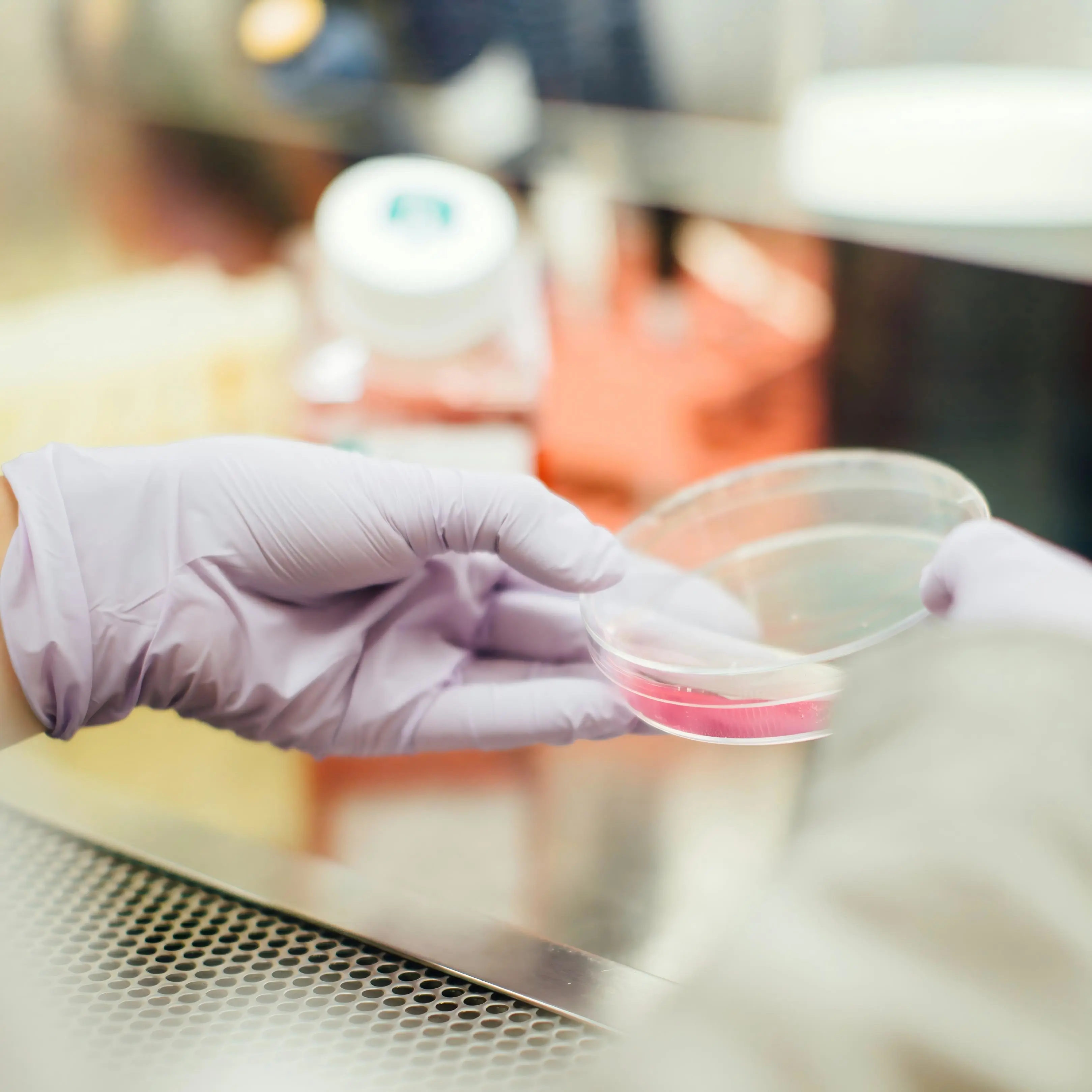 How Do You Choose the Right Steel Fume Hood for Your Facility?