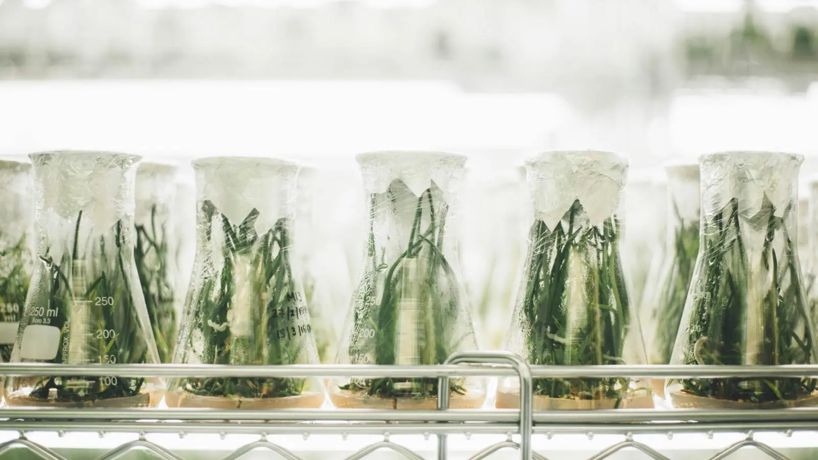 What Should You Consider When Buying a Steel Fume Hood?