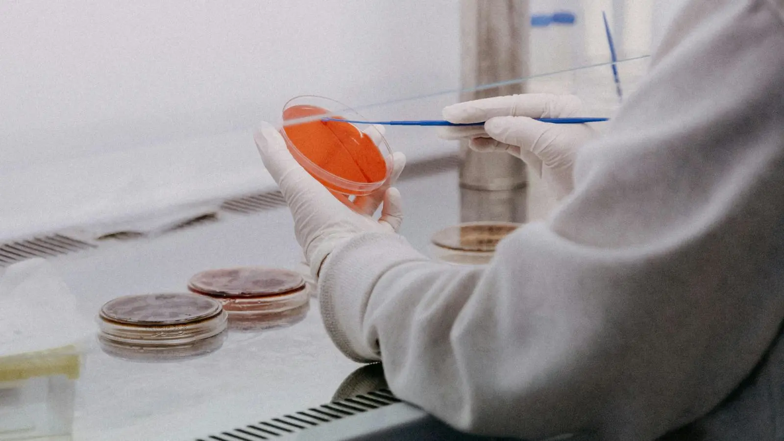 What Size Steel Fume Hood Is Right for Your Lab?