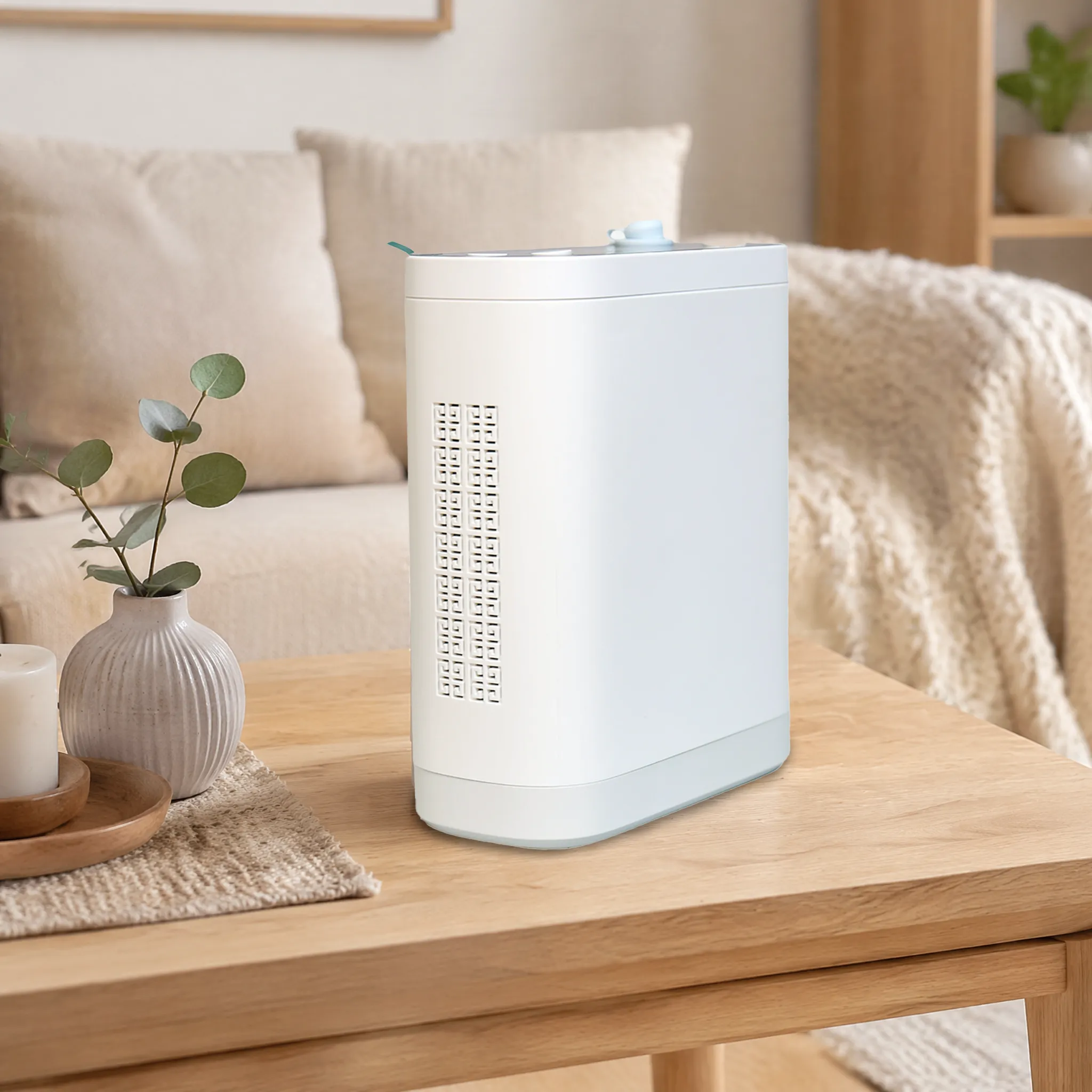 DN-BH10 Medical Portable Oxygen Concentrator
