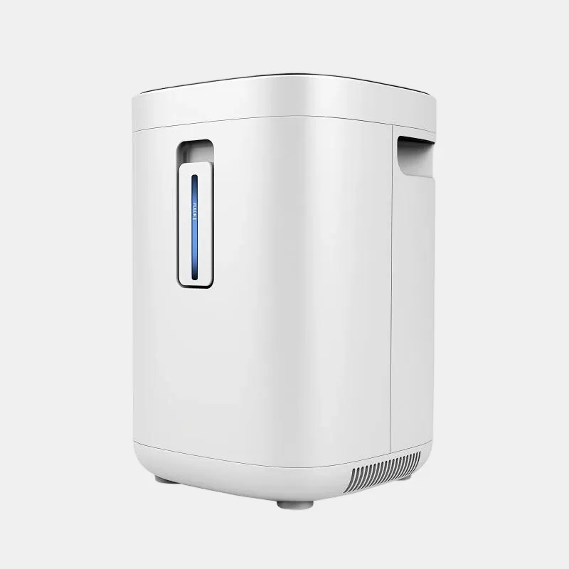 ZY-1BW Household Oxygen Concentrator Machine Factory