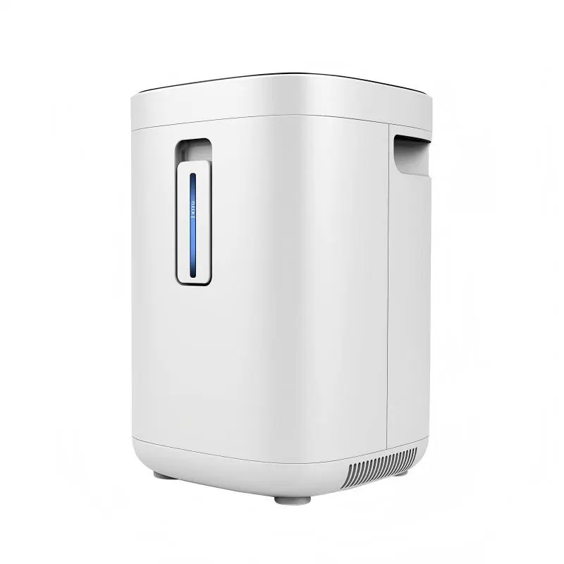 ZY-1BW Household Oxygen Concentrator Machine Factory
