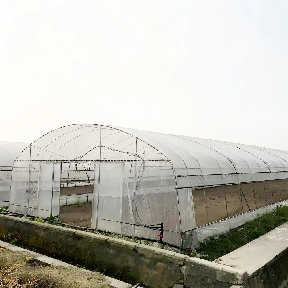 Greenhouse Tunnel Plastic: The Ultimate Guide for Commercial Growers