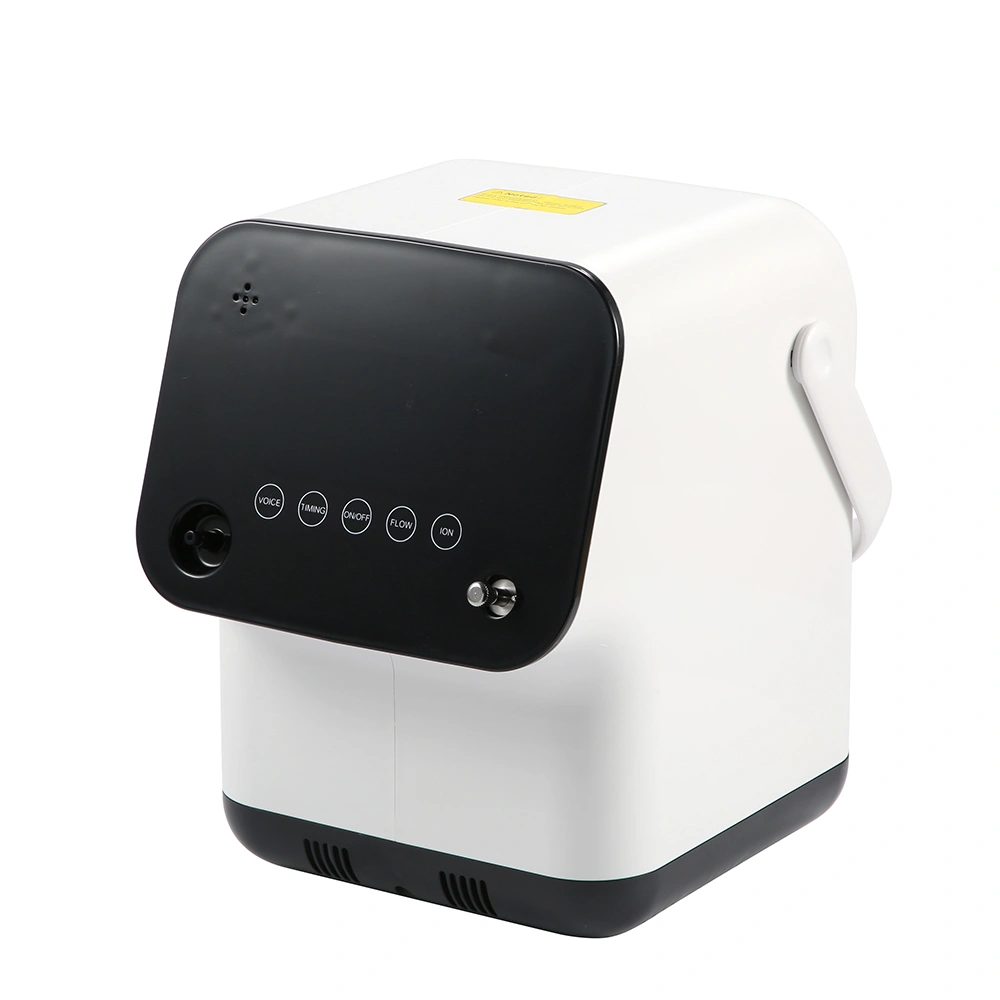 ZY-2AW Household Oxygen Concentrator High-Efficiency Stationary Oxygen Machine